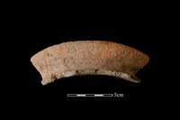 藏品(陶罐)的圖片